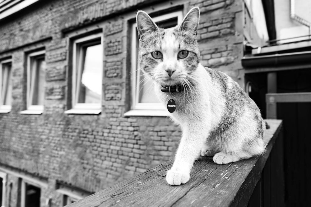 Photograph by Игорь Волкин