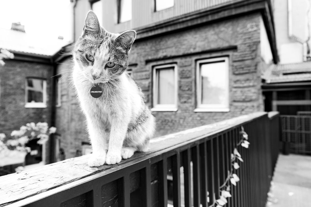 Photograph by Игорь Волкин