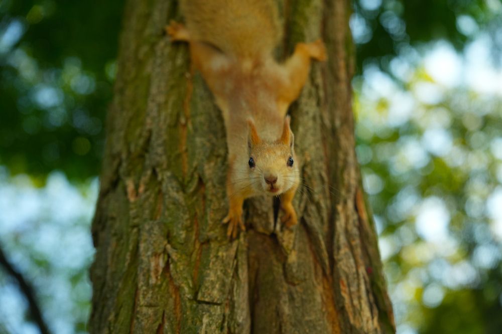 Photograph by Игорь Трухан