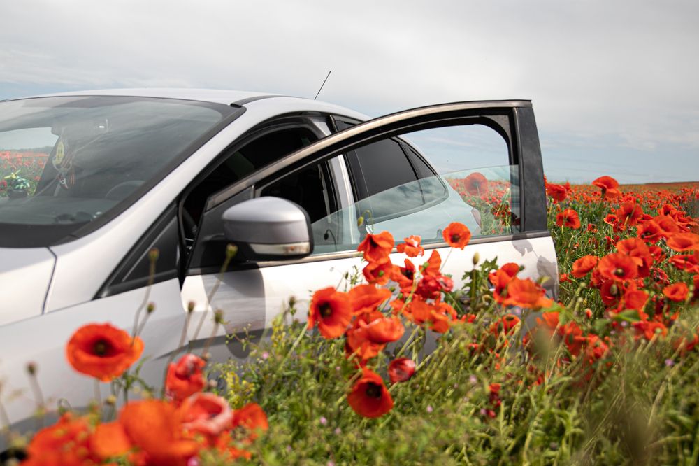 Photograph by Дарья Околова