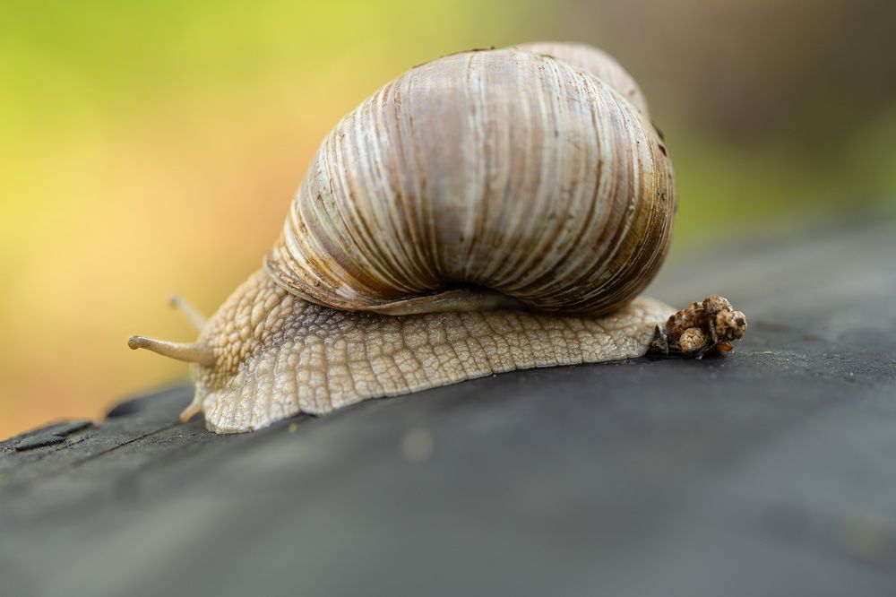 Photograph by Елена Март