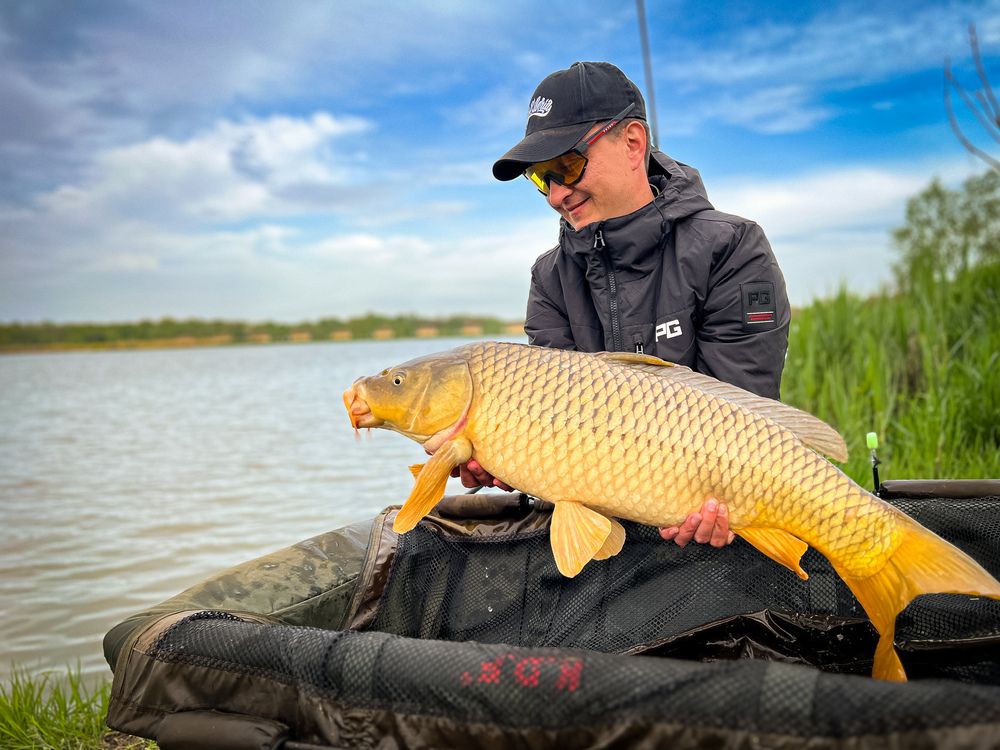 Фотография автора Вячеслав Александров