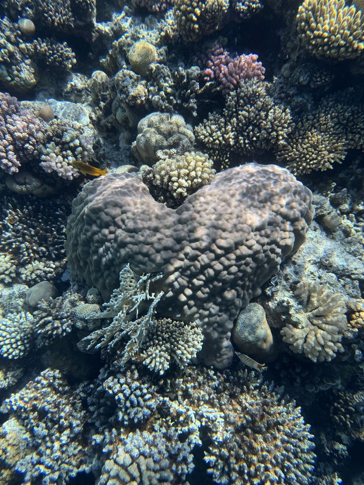 Photograph by Анна Борисова