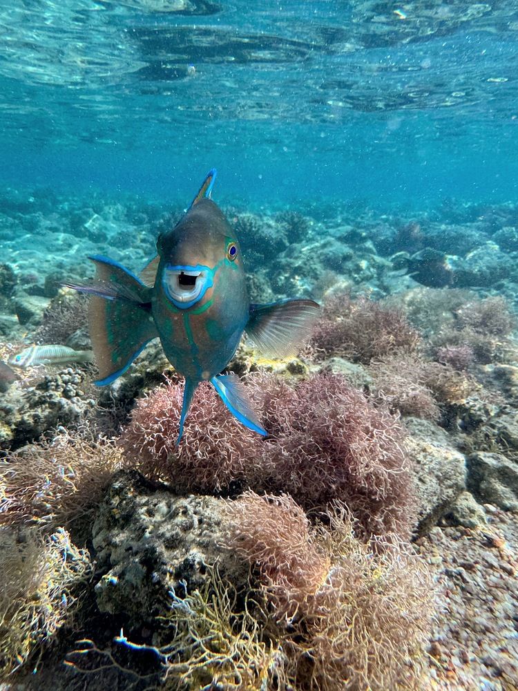 Photograph by Анна Борисова