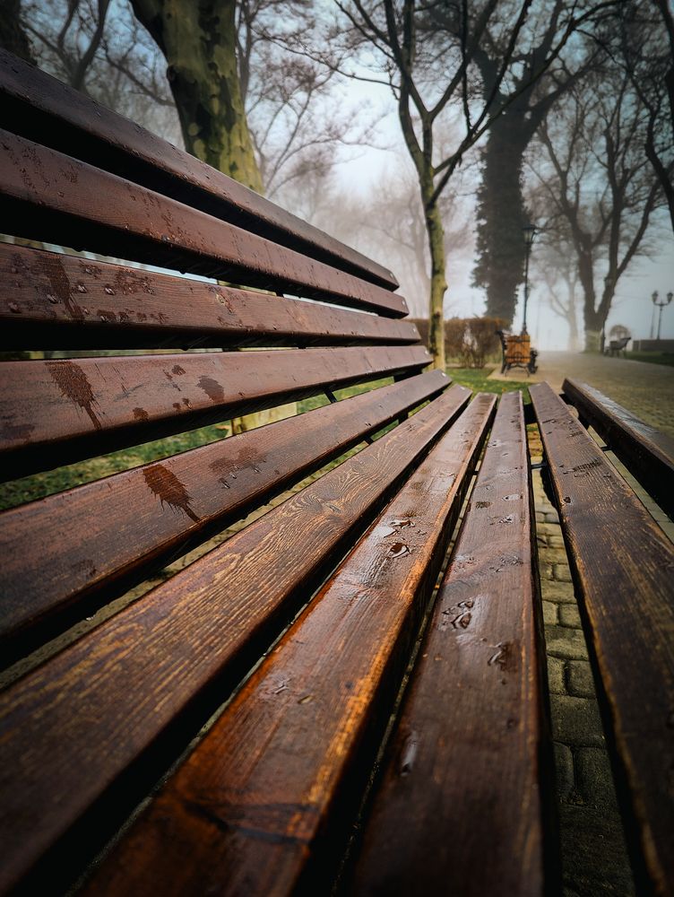Photograph by Mariya Sinitsina