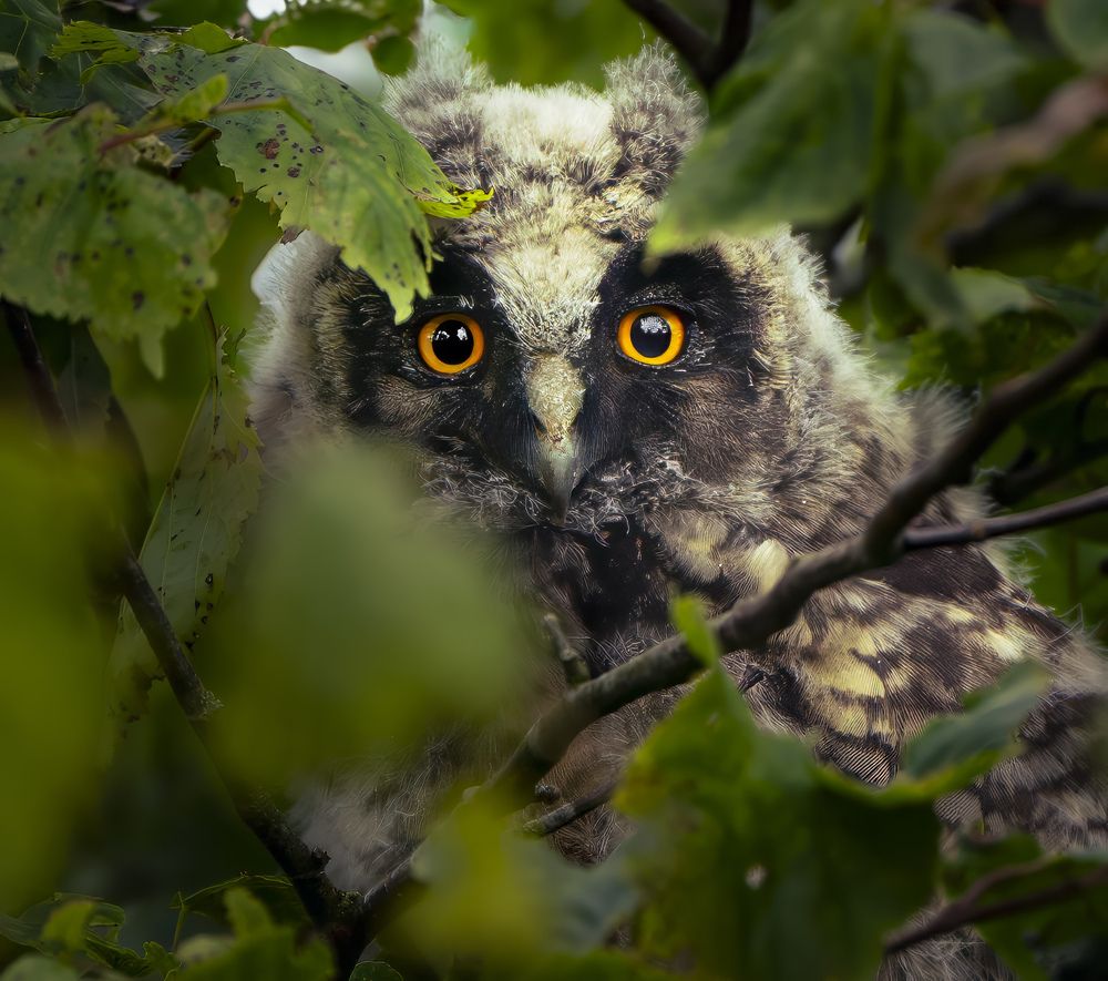 Photograph by Sam Cropper