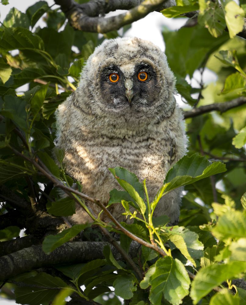 Photograph by Sam Cropper
