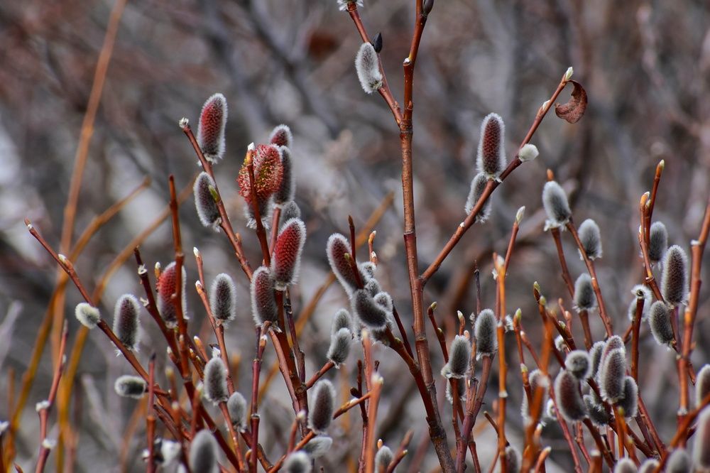 Photograph by Нина Кольман