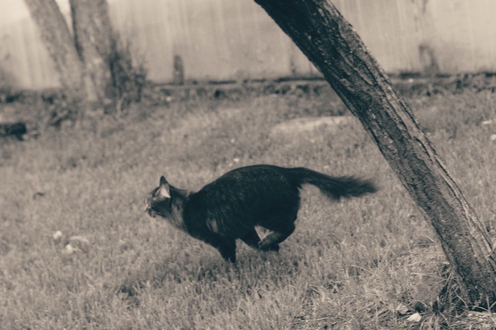 Photograph by Анастасия Щеглова