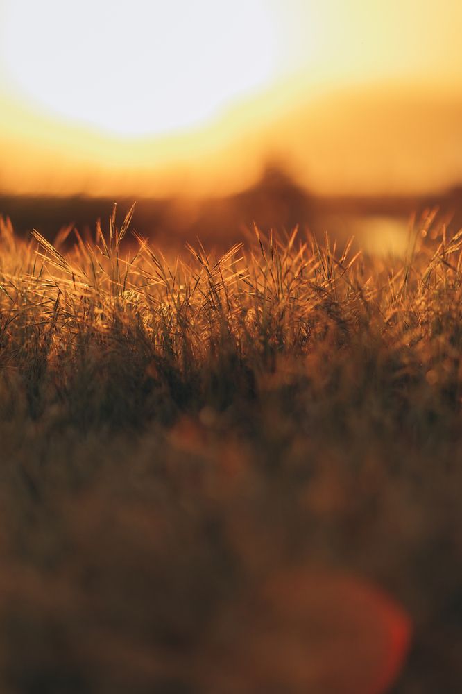 Photograph by Irina Chka