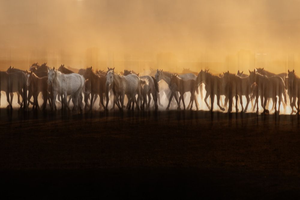 Photograph by Vasfiye Budak