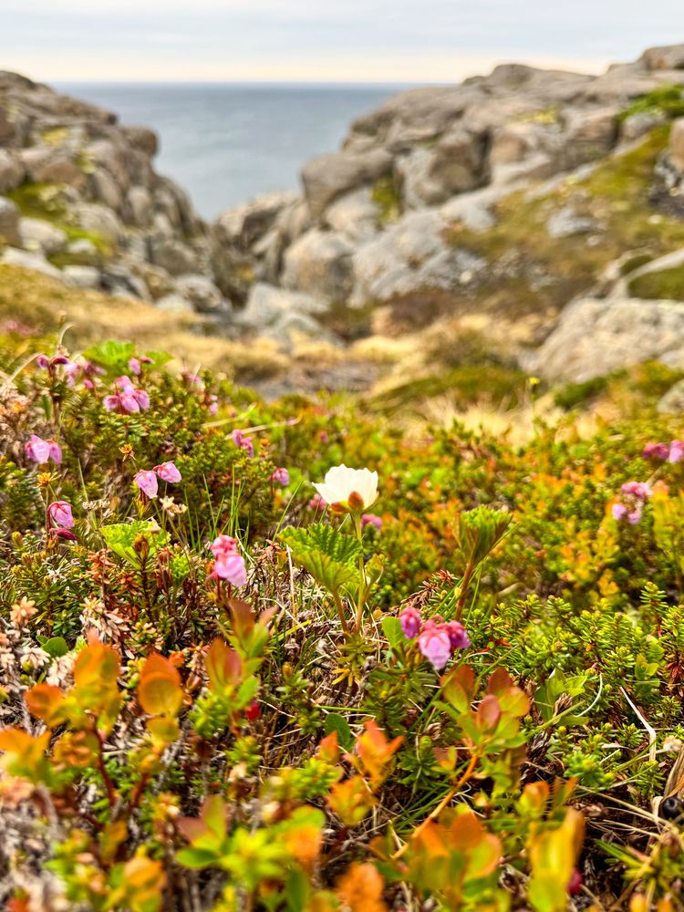 Photograph by Tanzilya Gabidullina