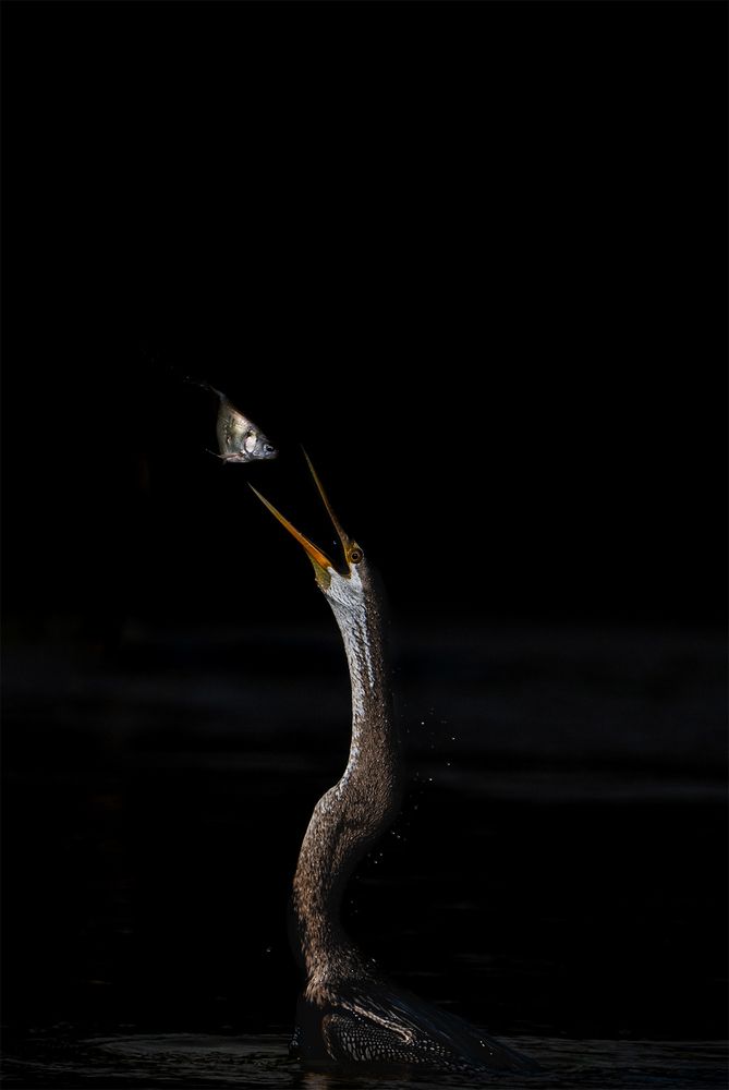 Photograph by Mahesh Jagwani