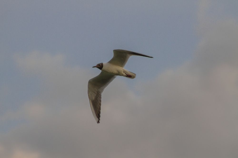 Photograph by Алина