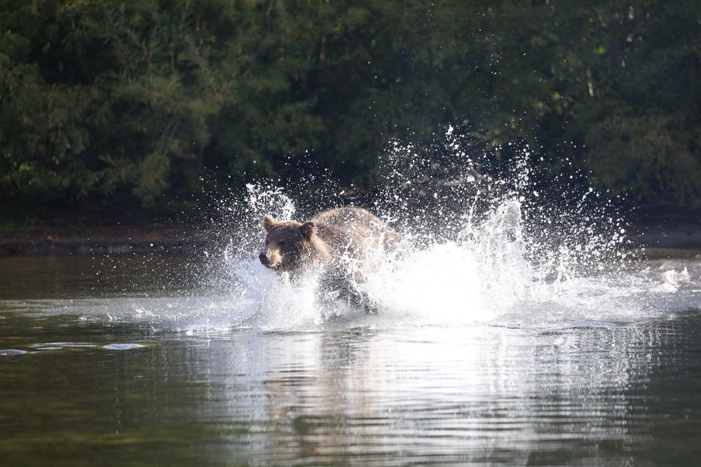Photograph by Одаренко Ольга