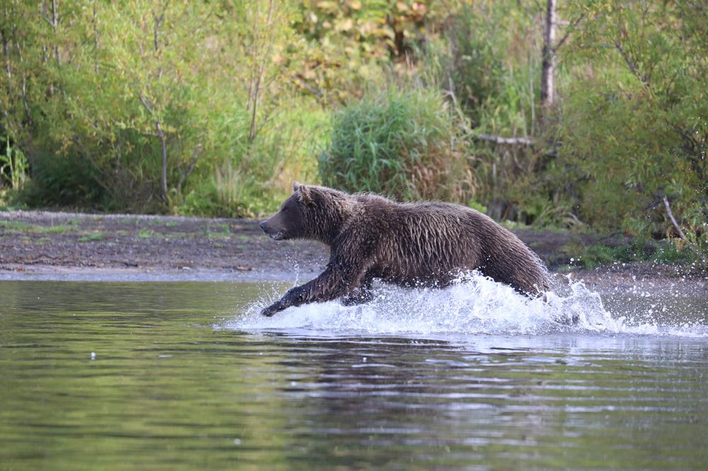 Photograph by Одаренко Ольга
