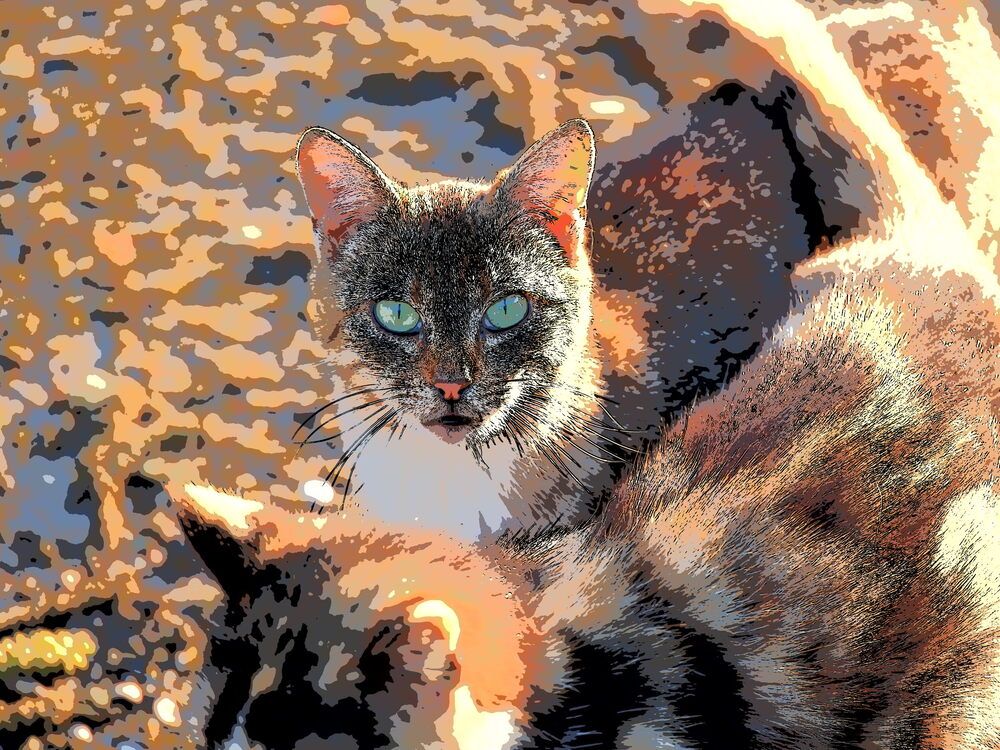 Photograph by Сергей Борисов