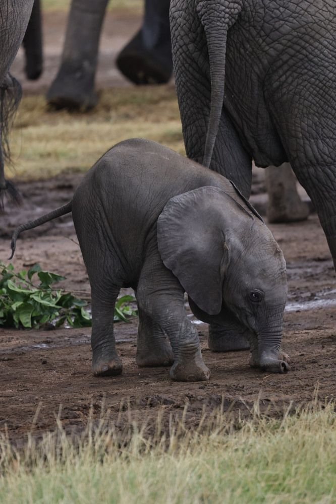 Photograph by Одаренко Ольга