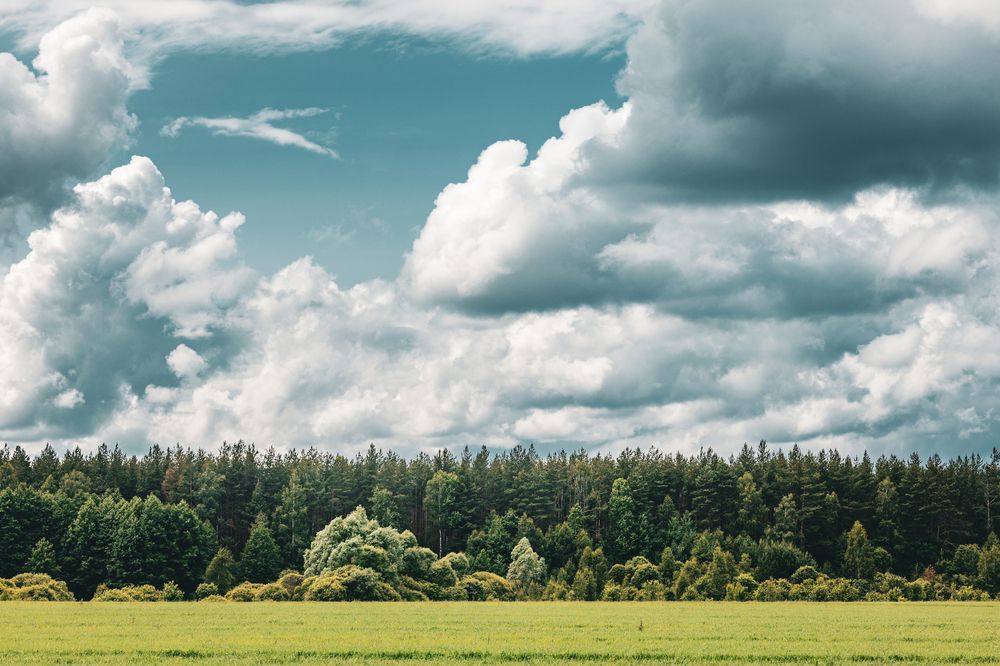 Photograph by Zhen Tsarev