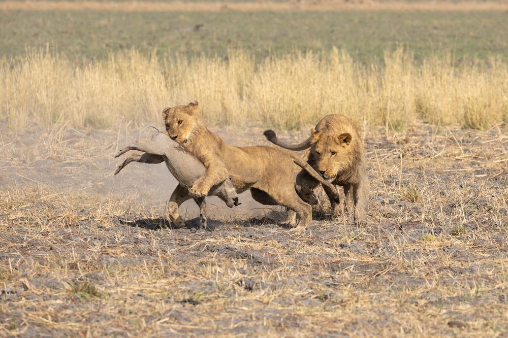 Photograph by Raquel Barao