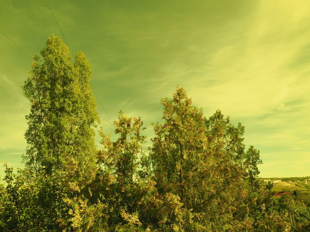 Photograph by Сергей Борисов