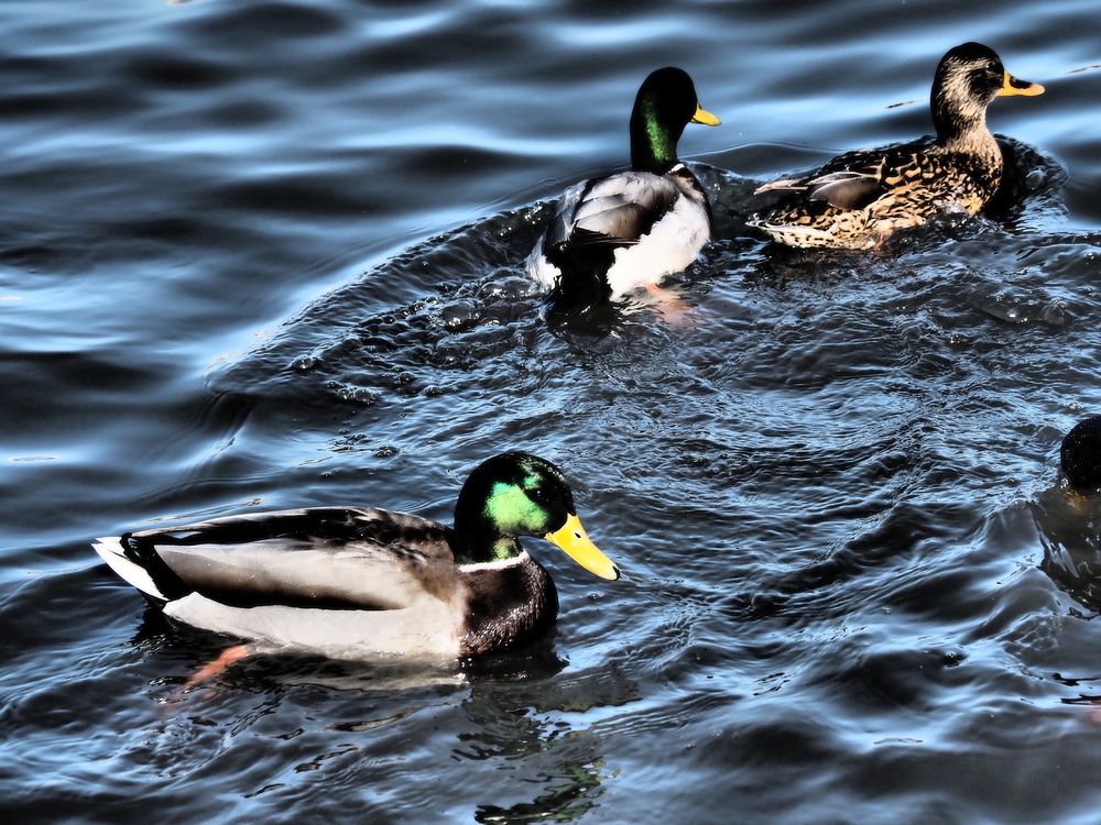 Photograph by Сергей Борисов