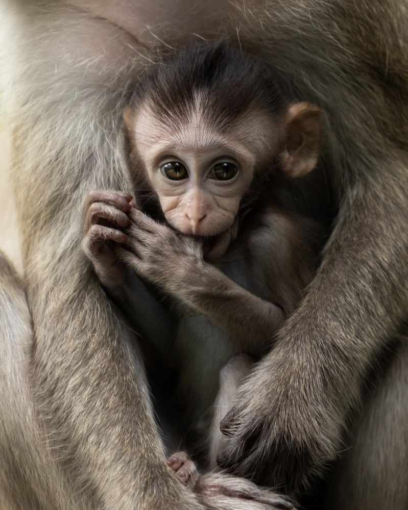 Photograph by Артем Зубарев