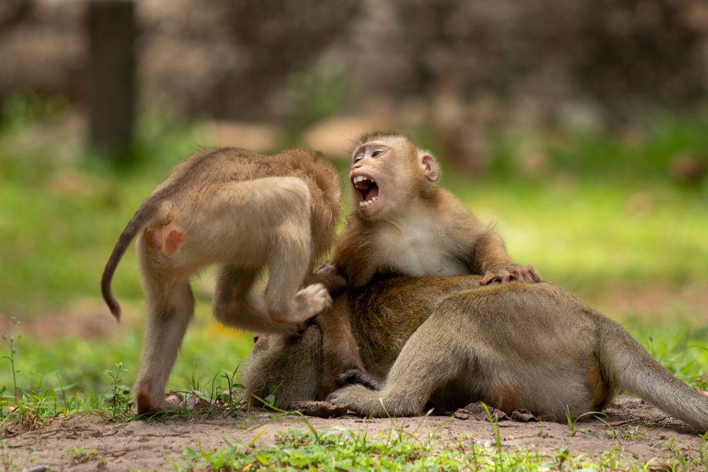 Photograph by Артем Зубарев