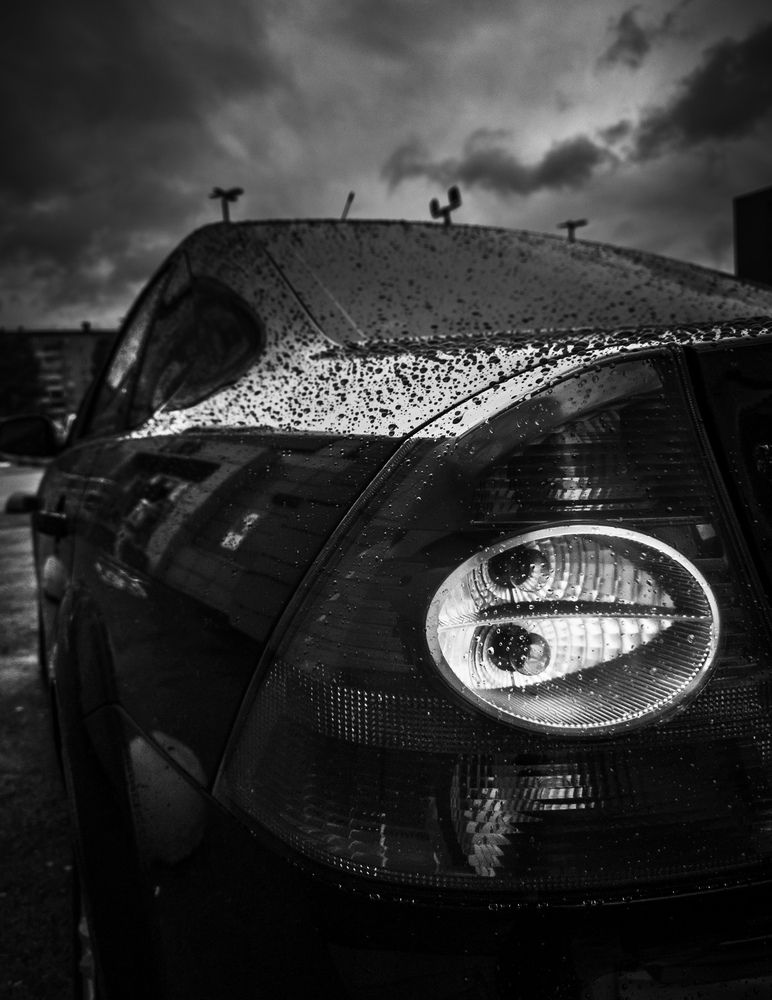 Photo #12290694