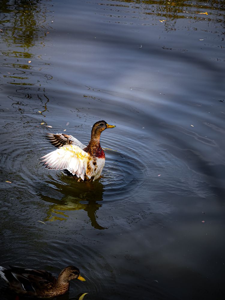 Фотография автора Евгений Былков