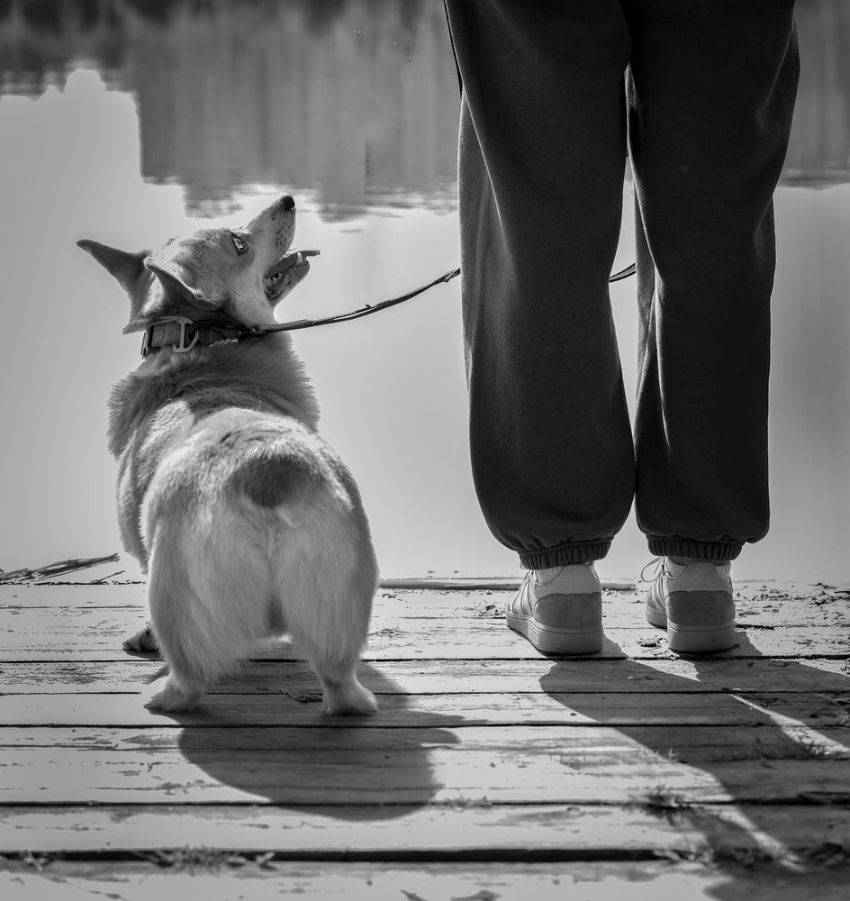 Photograph by Виктория