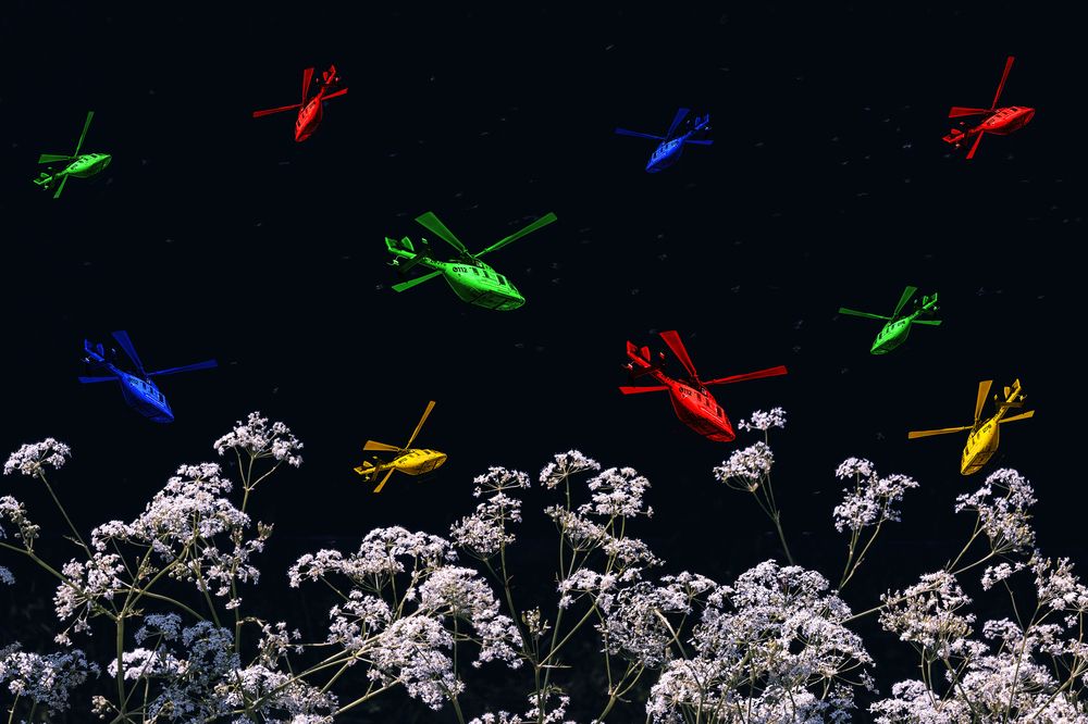 Фотография автора Ирина Гриценко