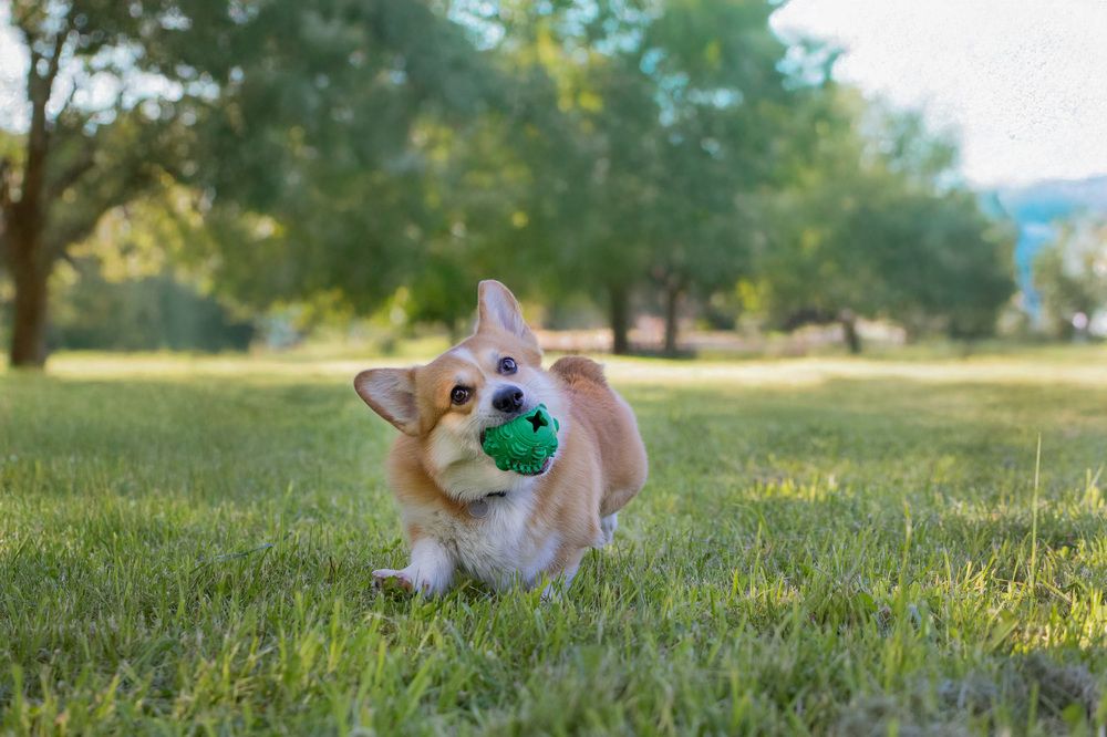 Photograph by Виктория