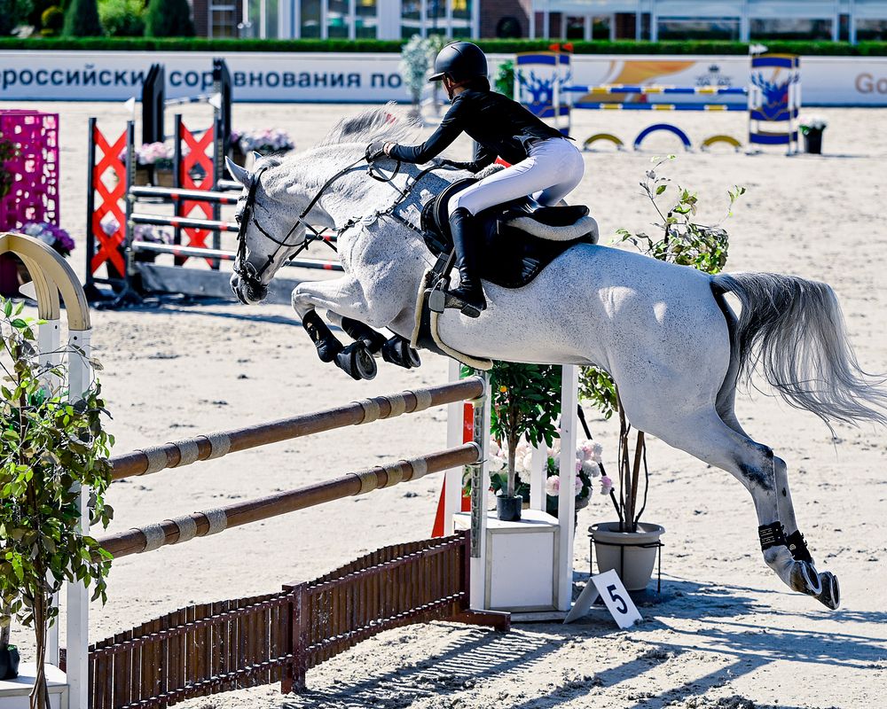 Photograph by Наталья Шелест