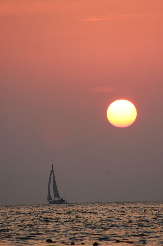 Photograph by Abdulrahman Sawalha