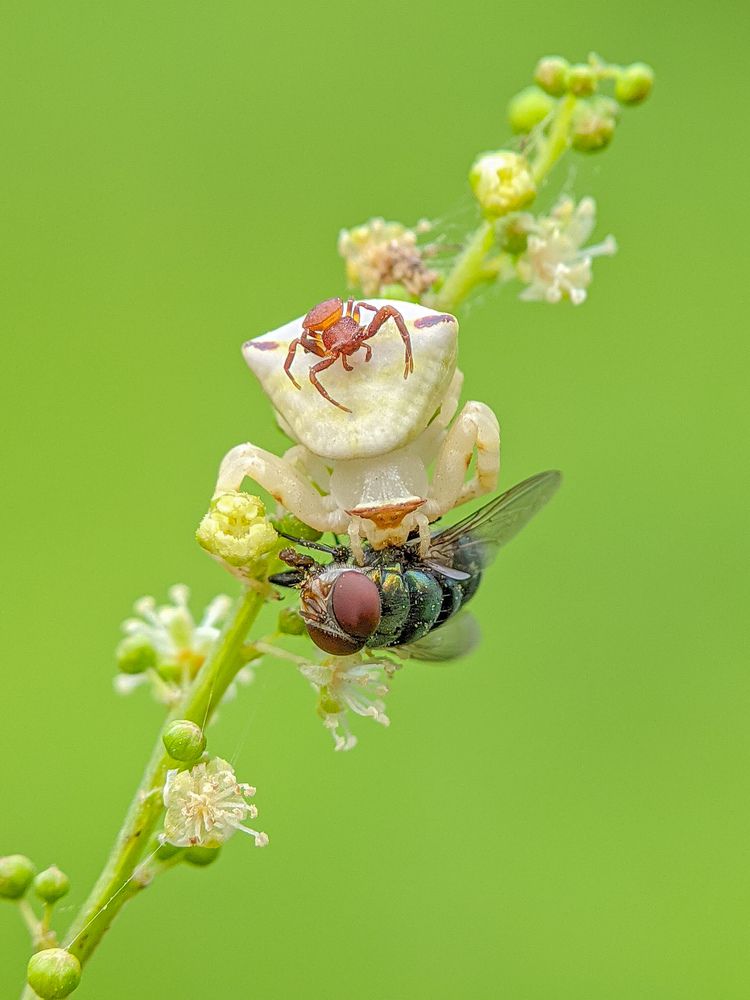 Photograph by Akash Pani