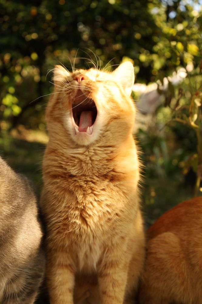 Photograph by София Серёжечкина