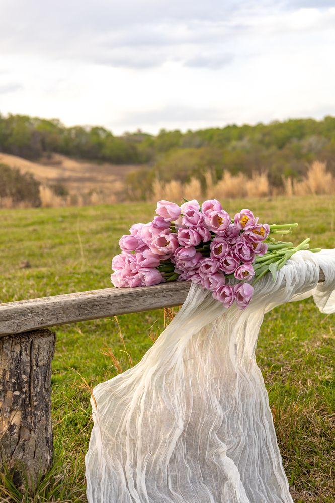 Photograph by София Серёжечкина