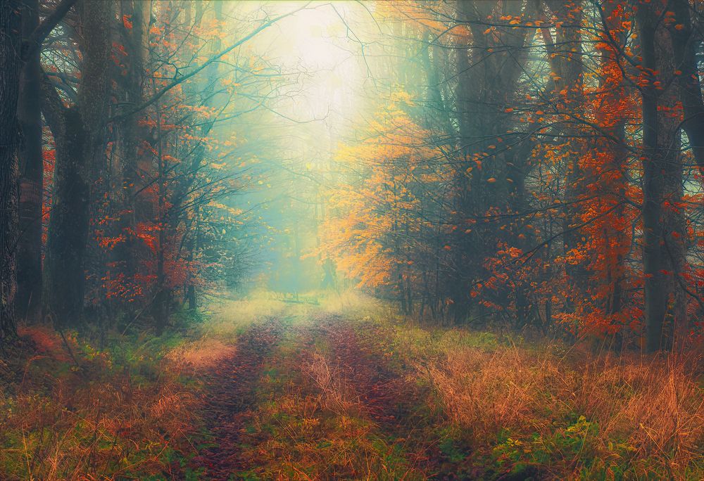 Photograph by Владимир