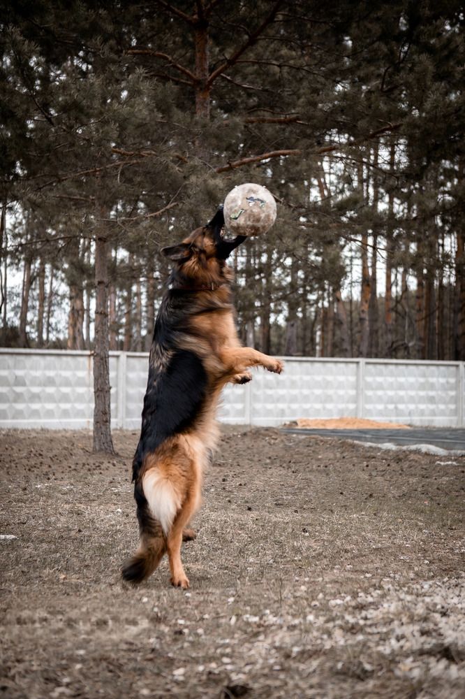 Фотография автора Анюта Тагаева