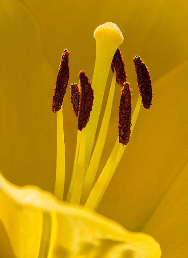 Фотография автора Andrey Pristyazhnyuk