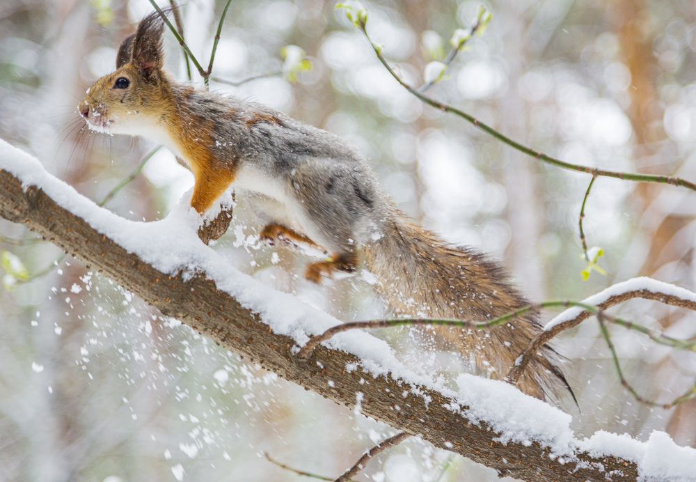 Фотография автора Каргин Валерий