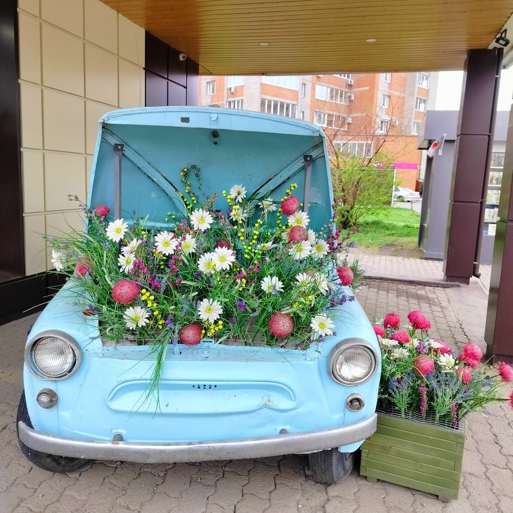 Photograph by Анастасия Горбачева