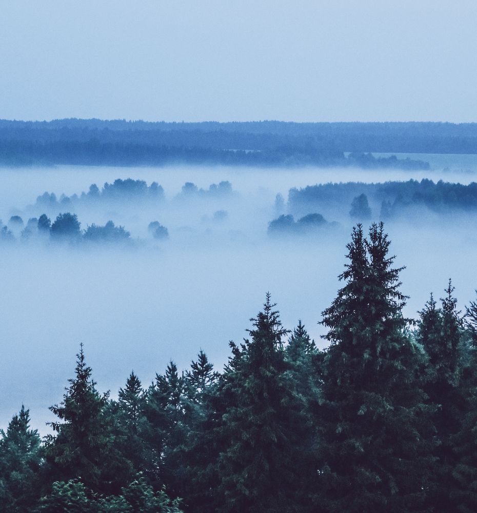 Photograph by Анатолий Вахрушев