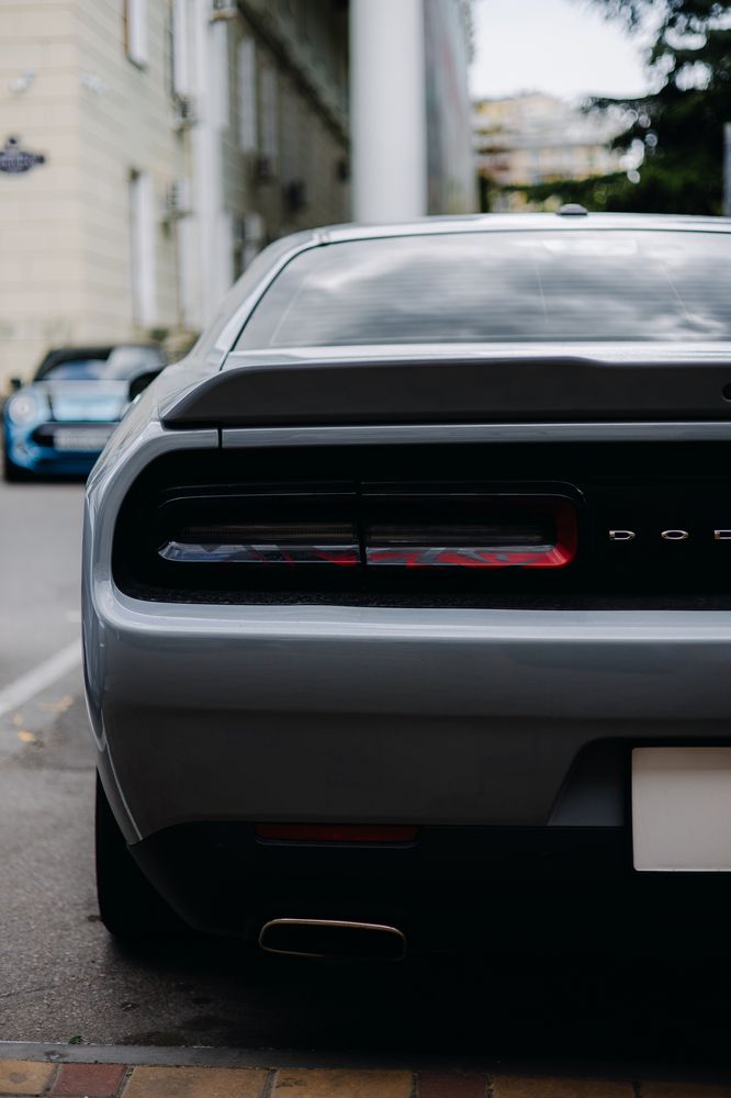 Photograph by Павел Дженбаз