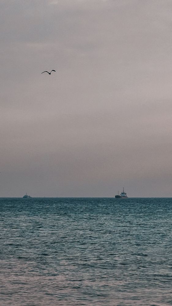 Photograph by Irina Chka