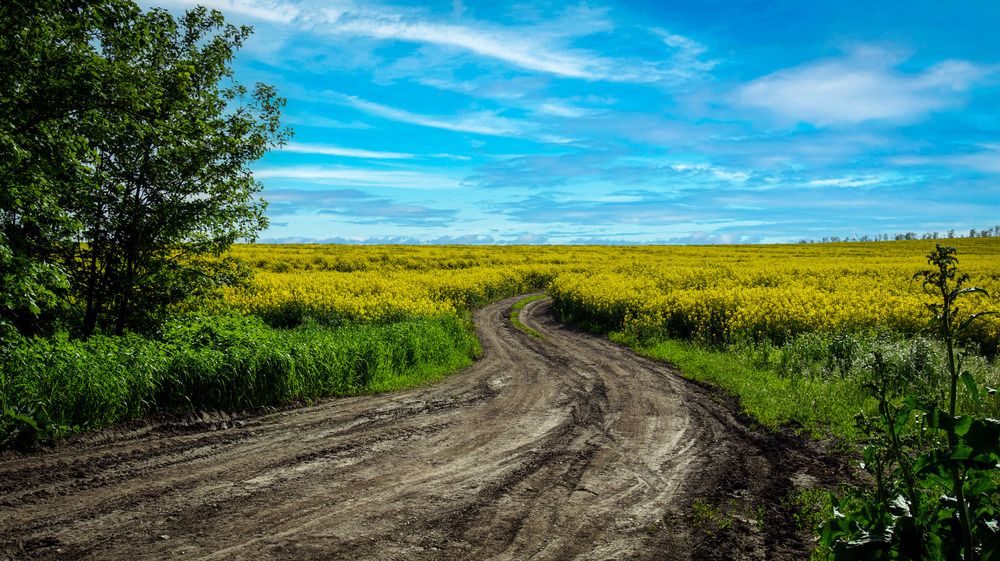 Photograph by Вадим Карпов