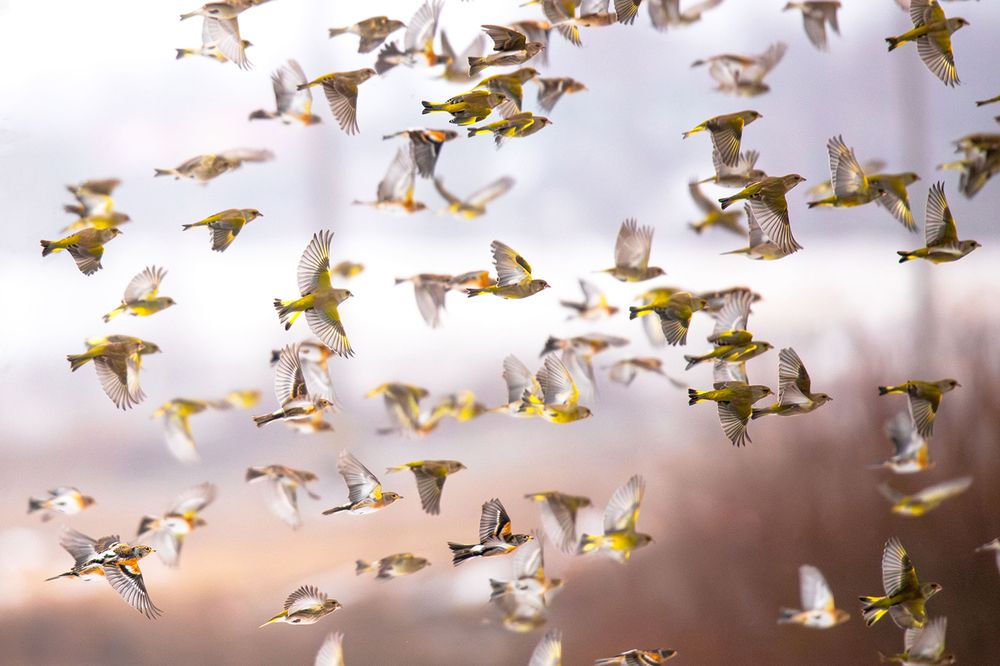 Photograph by Алёна Тиханович