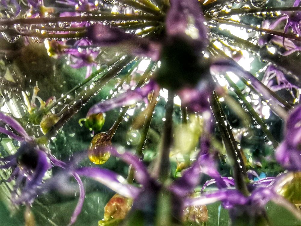 Photograph by Ирина Садовникова