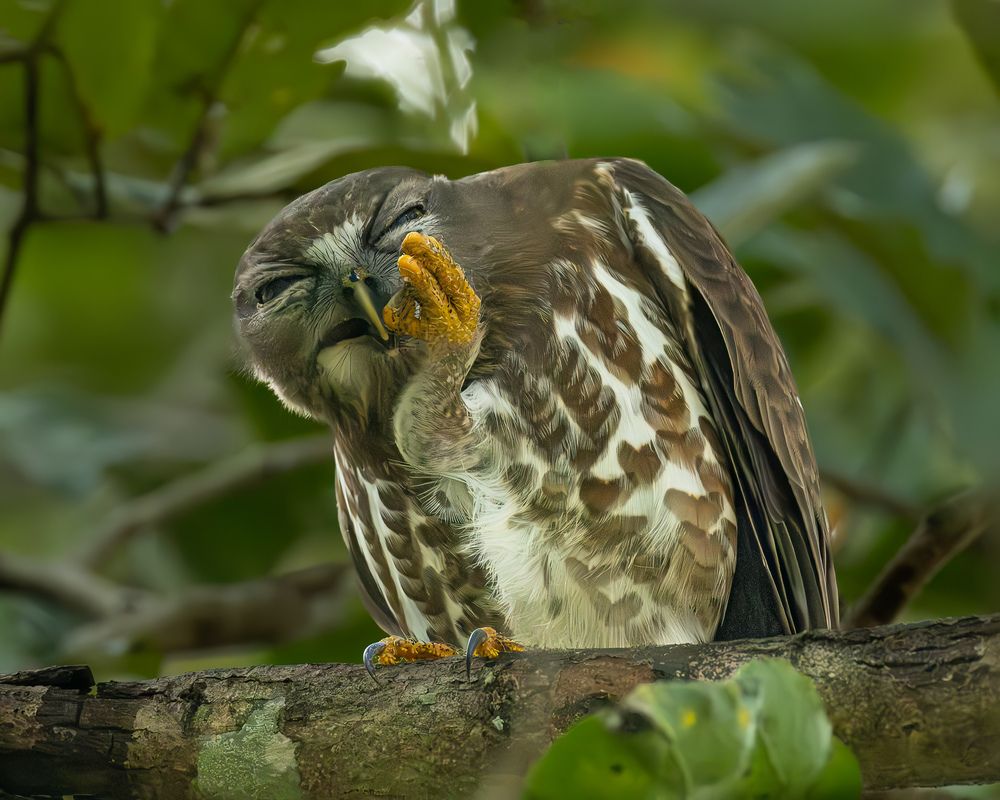 Photograph by Mahesh Kumar V Kolekar